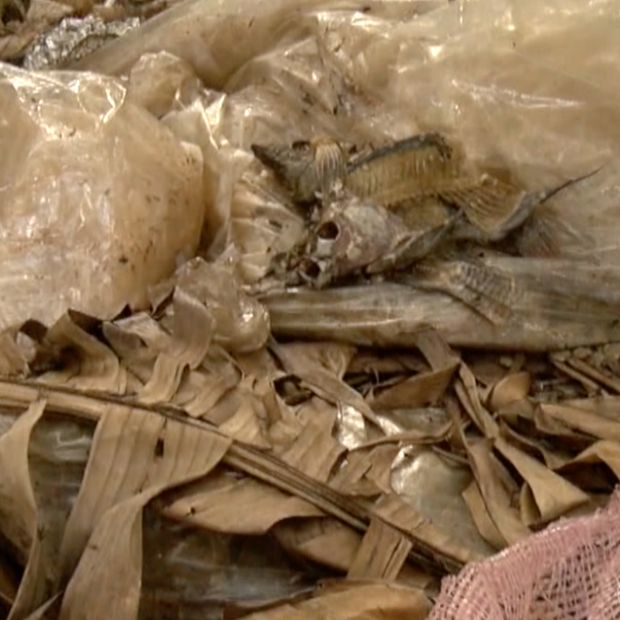 Denuncian Contaminación del Río Tamesí por Basura Arrojada en Tampico